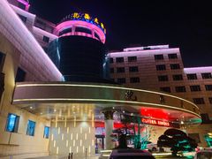 -抱海大酒店自助餐
