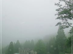 -武陵山森林公园