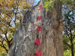 -祥源·阜阳生态乐园