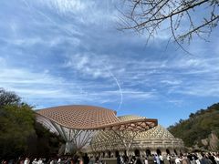 -牛首山文化旅游区