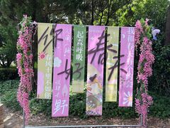 -嘉定紫藤园
