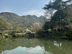 -中国茶叶博物馆(双峰馆区)