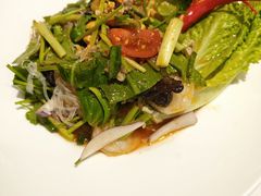 酸辣粉丝沙律-荷花泰菜(东方新天地店)