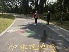 -云溪植物园