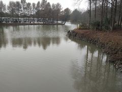 -上海海湾国家森林公园