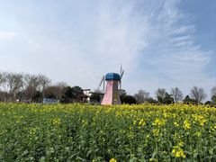 -武汉紫薇都市田园