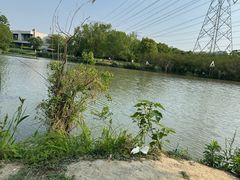 -九里河湿地公园