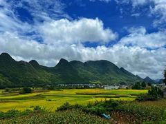 -万峰林风景区