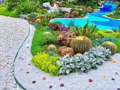 -深圳仙湖植物园