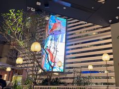 -桂满陇·海市蜃楼·黑金(国金店)