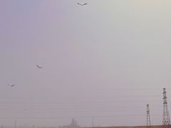 -克孜尔尕哈烽燧世界文化遗产公园