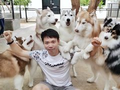 -TrueLove @ Neverland (Husky Cafe)