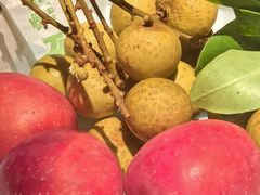 -季季山·云南野生菌火锅(上海首店)