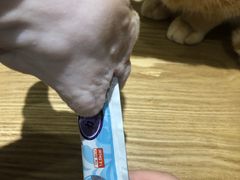 -藏猫猫咖啡主题馆(中央大道店)