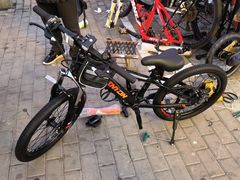 -道路口单车爱瓦士dahon大行