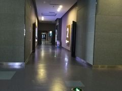 -幸福蓝海国际影城(崇安寺T12店)