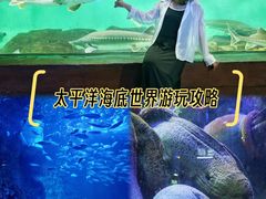 -太平洋海底世界