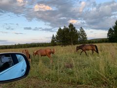 -塞罕坝国家级自然保护区