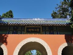 -灵谷景区