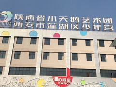 -陕西省小天鹅艺术团