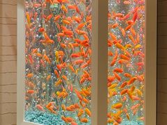 -永利澳门酒店