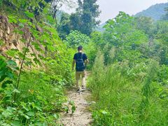 -素山寺森林公园