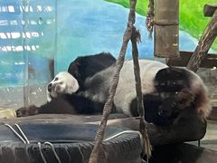 -柳州市动物园