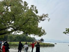 -西湖游船