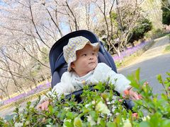 -白塘生态植物园