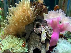 -太平洋海底世界