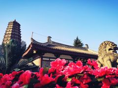 -法门文化景区