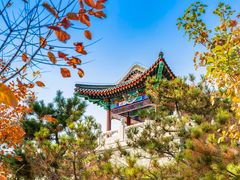 -西海子公园