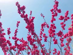 -洨河生态公园