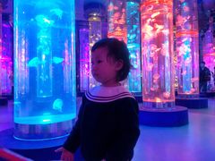 -梦幻海洋王国(吾悦广场张家港店)