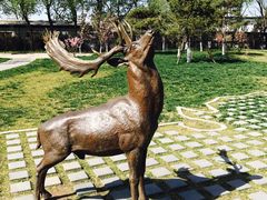 -北京麋鹿生态实验中心