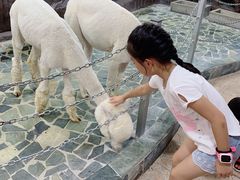 -上海大自然野生昆虫馆(东方明珠·爬宠昆虫探索中心)