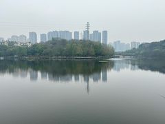-重庆彩云湖湿地公园