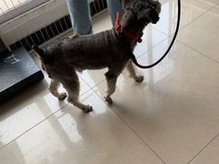 -美美酱宠物(外运路小区店)