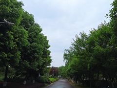 -艾坪山公园