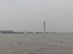 -吴淞炮台湾湿地森林公园烧烤区