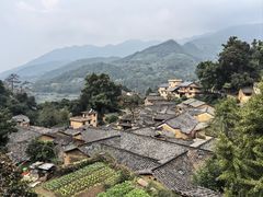 -杨家堂村