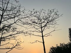 -广州市白云山风景名胜区
