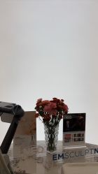 -Fundi张玉珊修身堂·indiba·BTL科技瘦身