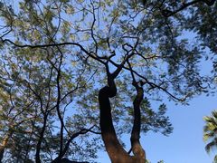-晓港公园