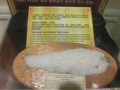 景点-信不信由你博物馆