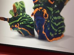 -圆融星座购物中心