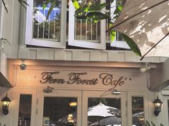 -Fern Forest Cafe