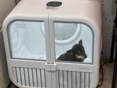 -读宠于你·约克夏比熊·睫角守宫·爬宠售卖(高新店)