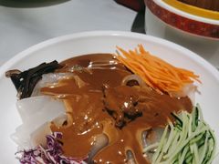 东北大拉皮-大鸭梨烤鸭(望京店)