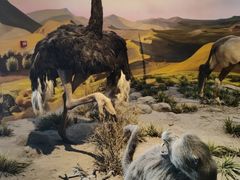 -国家自然博物馆